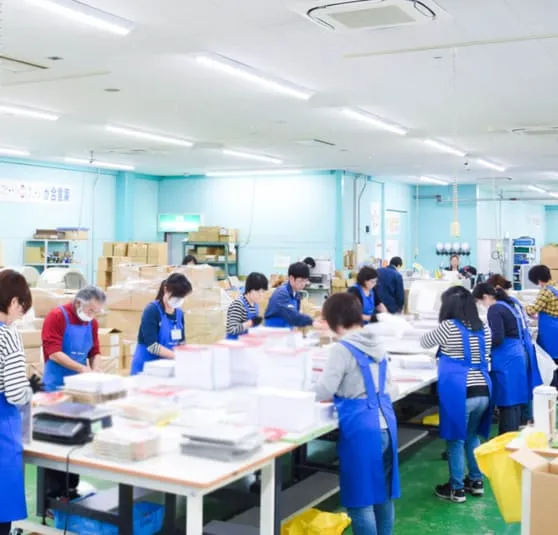 DM発送代行、宣工社の主な軽作業